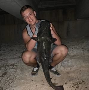 Meet your Posher, Austin